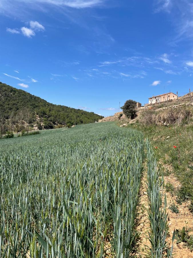 Masia La Perera Morella Luaran gambar